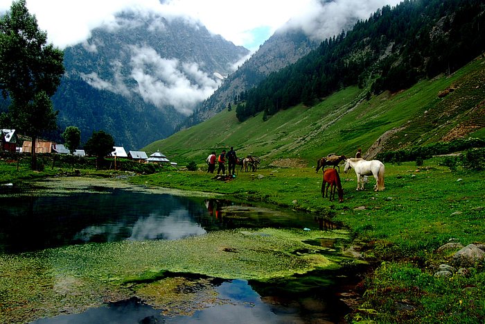 Sonmarg